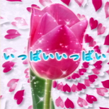 06_03_ippai_ippai.png