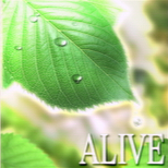 10_05_alive.png